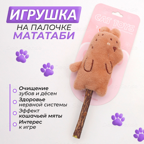 ���� ������ ������� �������� �� ��������� ������� ������� ��� ����� � �����, �������� (�������), ������� ��� ����� � �������� 