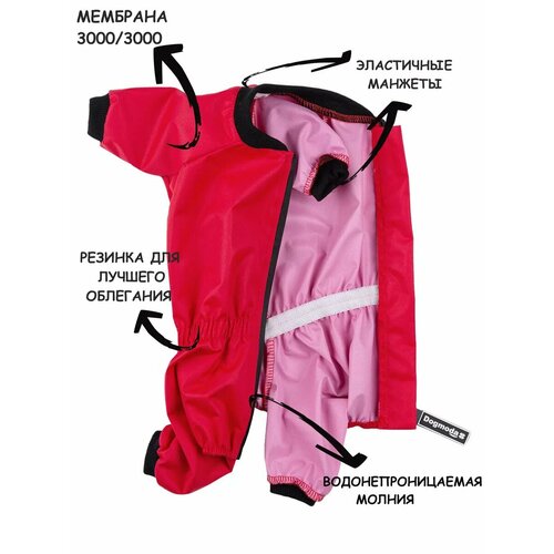 ���� �������! �������� - ���������� ��� ����� DOGMODA ������ (���� �������) ������� - ������� ������, �. 4, 32��, ������ ������