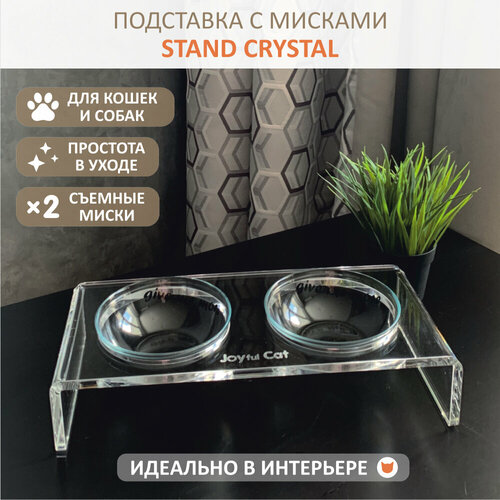 ���� ���������� ��������� � ����� ������� Joyful Cat 