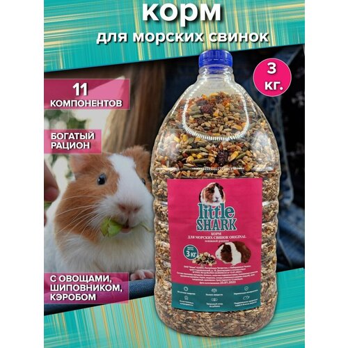 ���� ���� ��� ������� ������ 3 ��, ������ ������