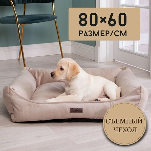 ���� ������� ��� ����� � ����� �� ������� ������, �������, �����, ������ ������