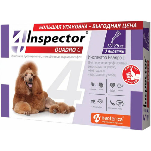  Inspector      Quadro   , , ,     10  25  3 .  ., 1 .   -     , -  