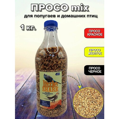 ���� Little Shark ����� ��� �������� 1 ��, ������ ������