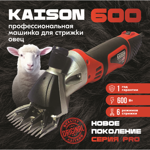        Kaison 600 W / 6 ,    -     , -  