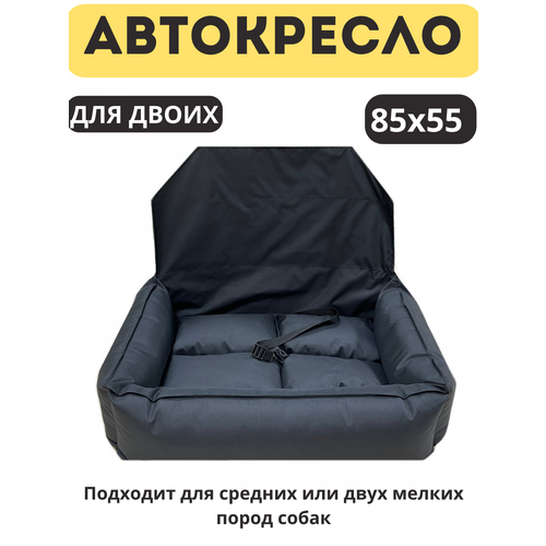 ���� ���������� ��� ��������� �������� ����� ������� � ������ ����� �� ������ �������, ������ ������