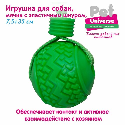     Pet Universe      357,5 , +, 110 ,  PU3055GN   -     , -  