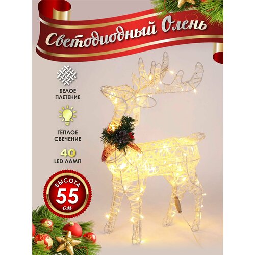 ���� ����� ���������� ������������ ���������� 50 �� �����, ������ ������