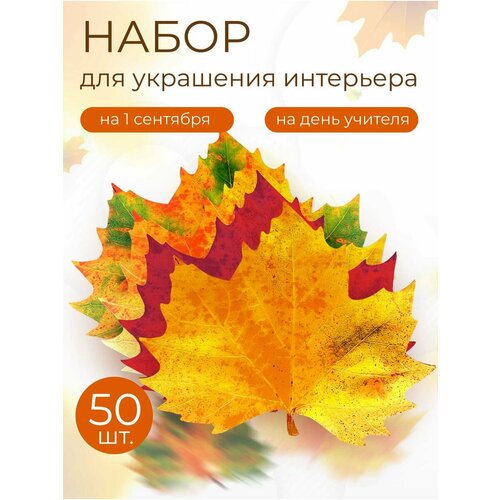 ���� ������� ����� ���� �������� 