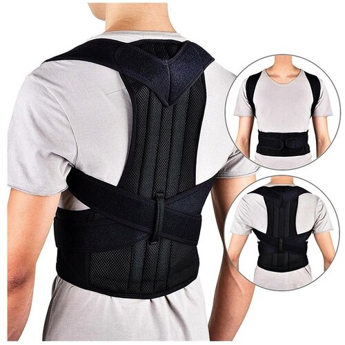 ���� ��������� ������ / ������ �������������� ��� ����� / ��������� ������������ / ������ M / 80-95 ��, ������ ������