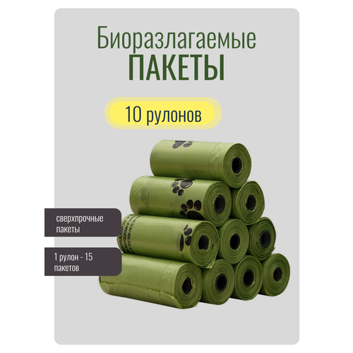 ���� ������ �������������� 150 ���� ��� ������ ����� , 10 �������, ��� ����� ��� ������ �� ��������, ������ ��� �����, ������ ������