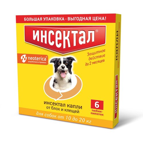 ���� Neoterica ����� �� ���� � ������ �������� ������������������ ��� ������, �����, �����, ��� �������� �������� 6 ��. � ��., 1 ��., ������ ������