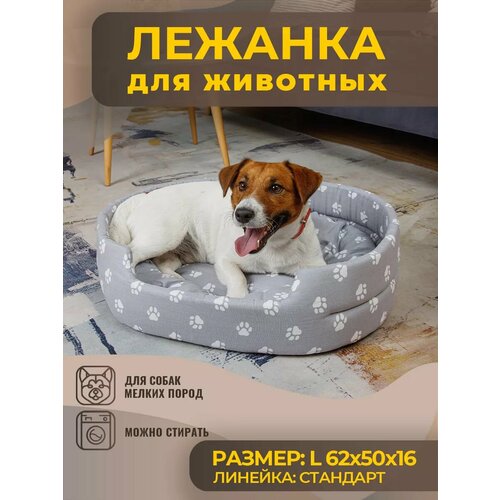 ���� ����� ��� ����� � ����� ������� �����, ����, ������ ������