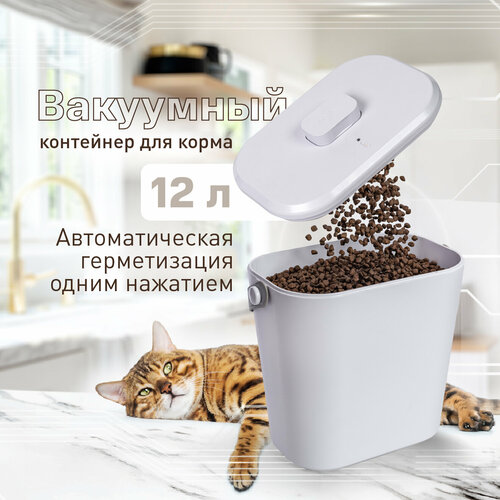 ���� ��������� ��������� ��� �������� ������ ����� ����� � �����, �������������� ������������, 12 ������, ������ ������