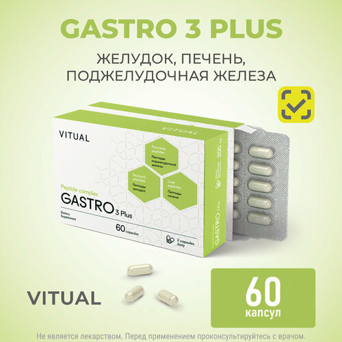     3  (  ) Gastro 3 Plus Khavinson Peptides, 60    -     , -  