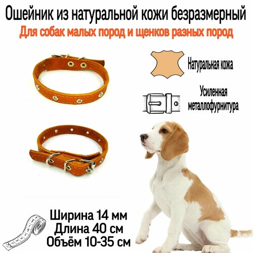 ���� ������� �� ����������� ���� ��� ����� ����� ����� � ������ ���� ����� �����. ������ 14��. ����� 10-35 ��. ���������, ������ ������