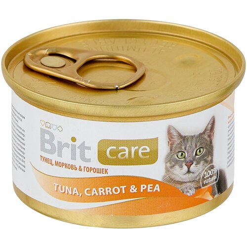      Brit Care ,    26 .  80  (-)  (fish dreams)   -     , -,   