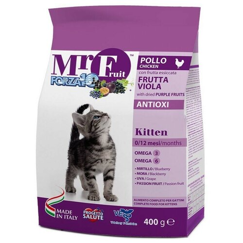   FORZA10 Mr. Fruit Kitten  ,    , 400    -     , -  