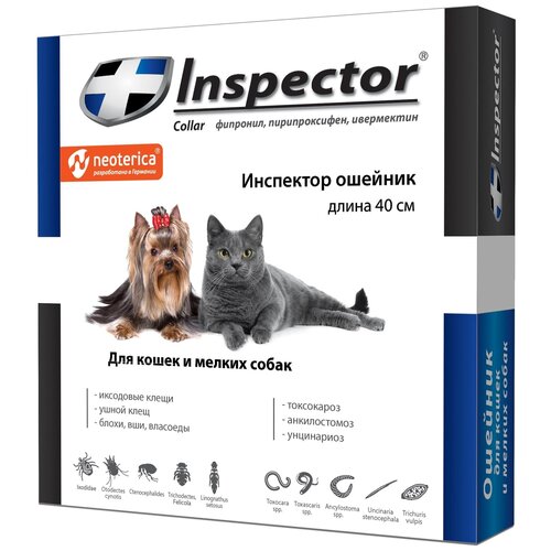 ���� Inspector  ������� �� ����, ������ � ���������� ��� ����� � ����� ������ ����� ���������� 1 ��. � ��., 1 ��., ������ ������