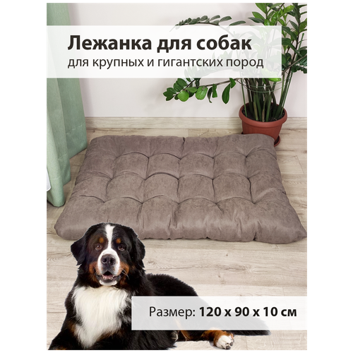 ���� ������� - ������ ��� ����� ������� � ������� ����� Graff (120 � 90 ��), ������ ������