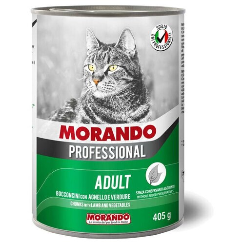    Morando Professional       , 6  405    -     , -,   