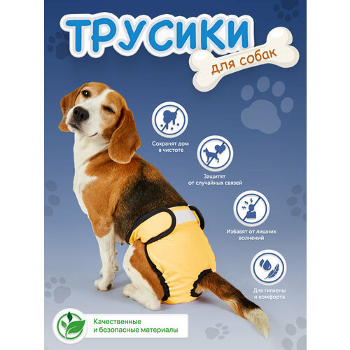 ���� ����� ��� ������ �� ����� ����� ������������ S, ���������� ��� ����� ������� ����� �����������, ������ ������