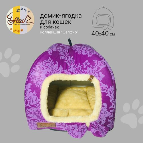 ���� �����-������ ��� �������� FISSA ��������� 