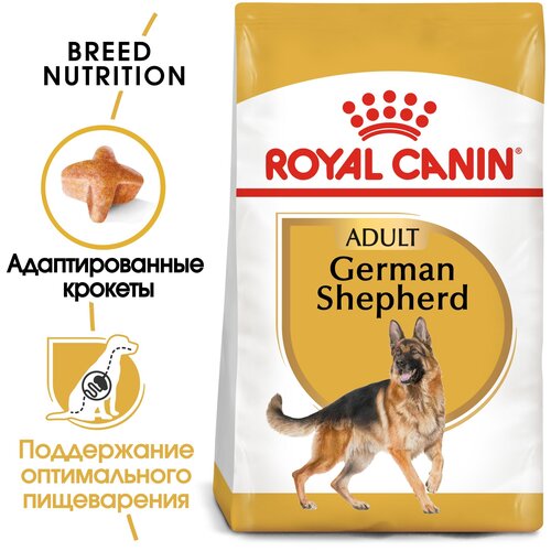  Royal Canin German Shepherd   (3 )   -     , -,   