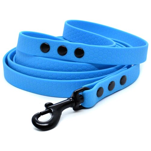 ���� ������� �� ������� 7 �, ������ 16 ��, Woofy 