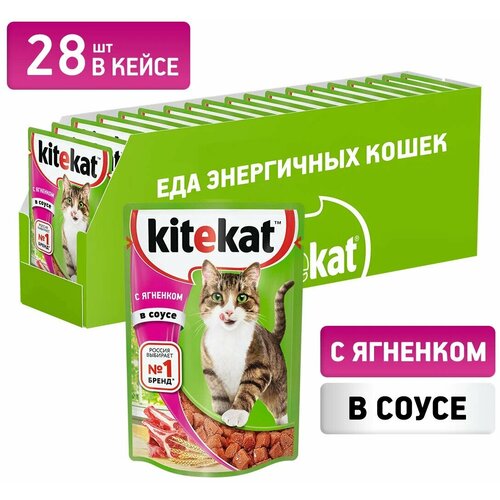    Kitekat      , 85  28 .   -     , -,   