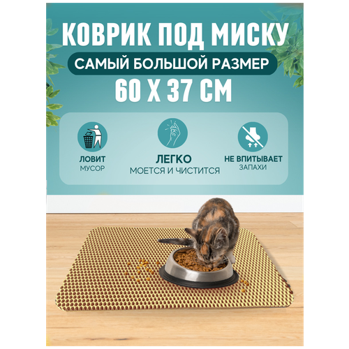 ���� ������ ��� ����� � ����� 