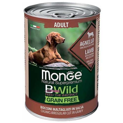     Monge /  Dog BWild GRAIN FREE    ,        400 /     -     , -,   