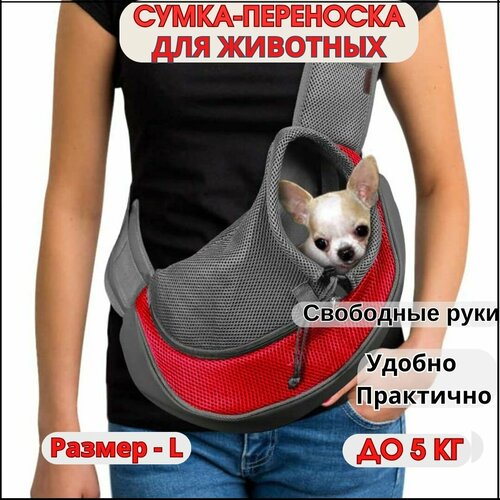 ���� ����� ��������� ��� ����� ������ ����� �� 5 �� / ����� ��� �����, ����� / ��������� ��� �������� �� 5,5 ��- ������ - L, ������ ������