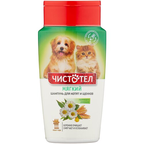 ���� �������� ������� �� ���� � ������ ������ ��� ����� � ������, ������ ������