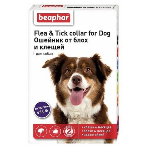  Beaphar      Flea & Tick.    , 65 ,  1 .,  