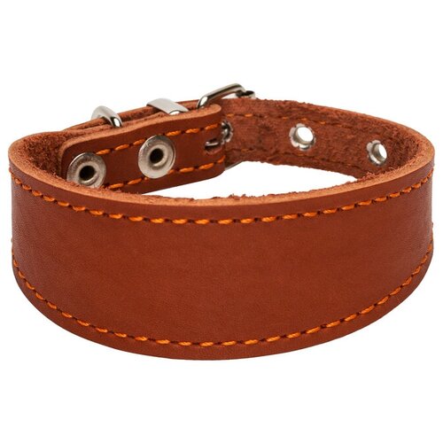 ���� �������-������� ���������� ������� CHOKERZ �� ������, ������. ������ - 40 ��. ����� - 28 ��., ������ ������