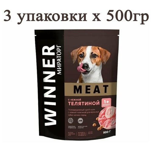     Winner MEAT 500  6      . , 0.5, 500   -     , -,   
