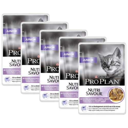      Pro Plan   5 .  85  (  )   -     , -  