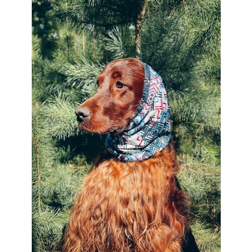 ���� ����� - ���� ��� ����� ������� �����, ������ ������