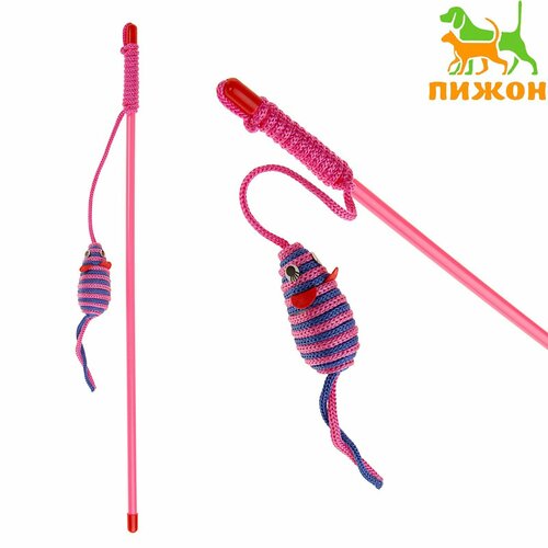 ���� ���������-������ 