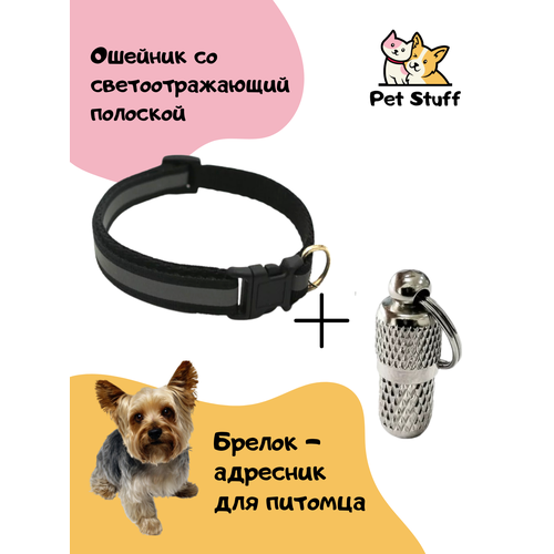      PET STUFF      -     , -  