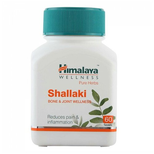 ���� Shallaki, 60 �, 60 ��., ������ ������