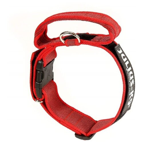 ���� ��� ����������� ������������� ������� JULIUS-K9 Color & Gray � �������� ������ � ������� ������� 5 ��, ����� �������� 67 ��, ������ ��� 47-67 ��, �������, ������ ������