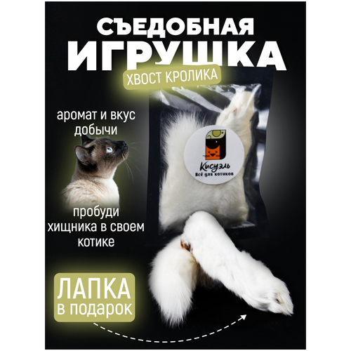 ���� ��������� ������� ��� ����� � ����� ������� ����� ��� ����� � ����� �����/�����/��� �������, ������ ������