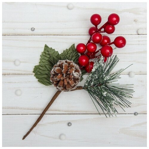 ���� ����� ������ ���������� ������ ����� 3535525, 20 ��, �������/�������/����������, ������ ������