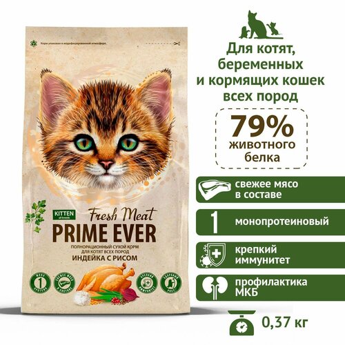           Prime Ever Fresh Meat Kitten, 370    -     , -  