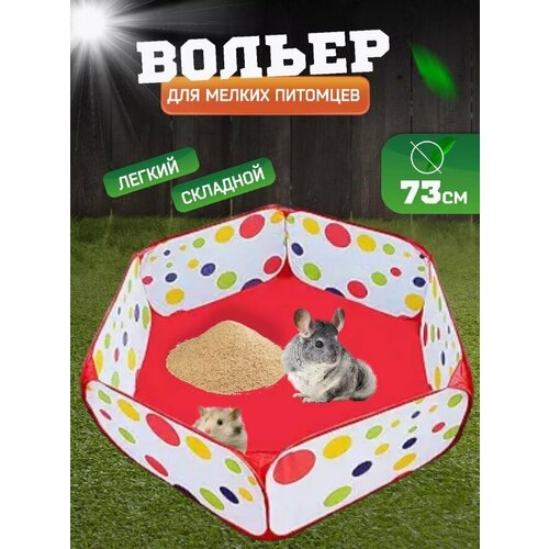 ���� ������-����� ��� ��������, ���� ��� ������ ��������, ���� �������, ������ ������