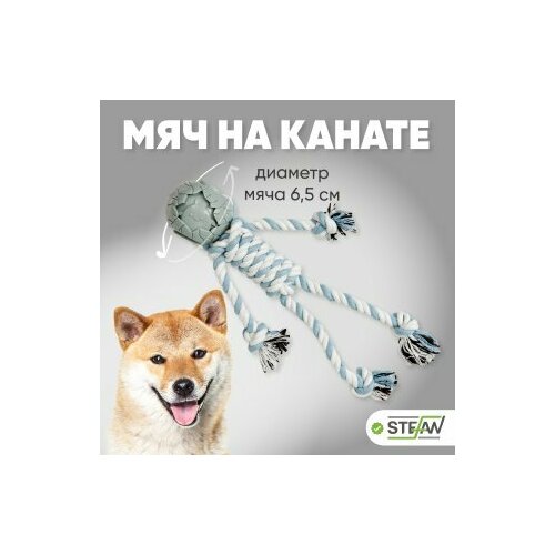 ���� ������� ��� ����� ��� �� ������ ��������� STEFAN (������), 6,5�32�34, �������, TY5195, ������ ������