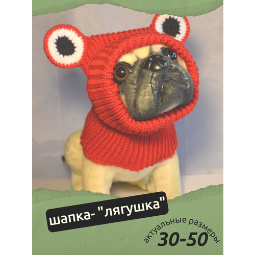 ���� �����-������� ��� ����� � ����� ������ � ������� �����, ����� ���� ��� ��������, ������ ������