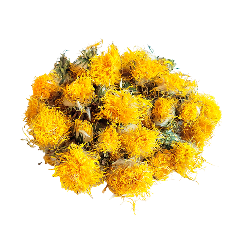 ���� ������ ���������� ��������������, ������ ������