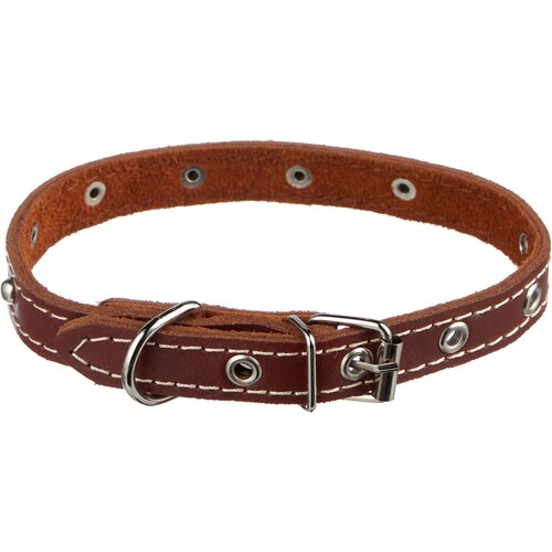 ���� Homepet 51415, ����������, M, ������ ������